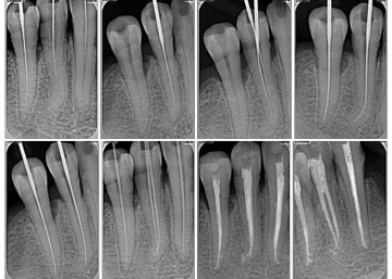 photo_2015-02-27_14-50-15